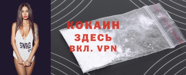 амф Няндома