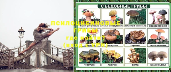 ПСИЛОЦИБИНОВЫЕ ГРИБЫ Нягань