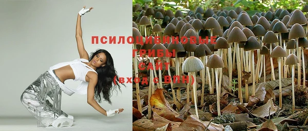 амф Няндома