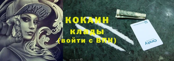 амф Няндома