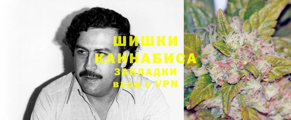 амф Няндома